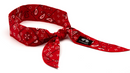 Cooling Beaded Bandana Red Paisley CNB12PKR